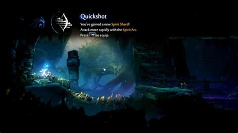 Kwolok S Hollow Map Completion Walkthrough Ori And The Will Of