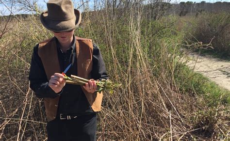 Foraging With Milo Japanese Knotweed Cai