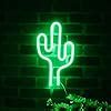 Amazon Advpro Cactus Flex Silicone Led Neon Sign Pink St S