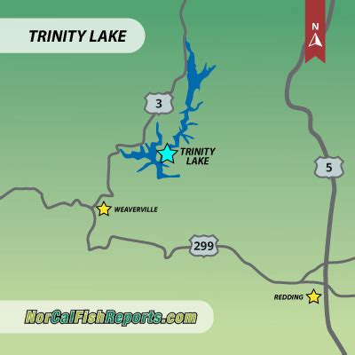 Trinity Lake - Fish Reports & Map