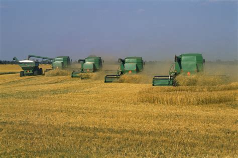 Tractors harvesting grain Free Photo Download | FreeImages