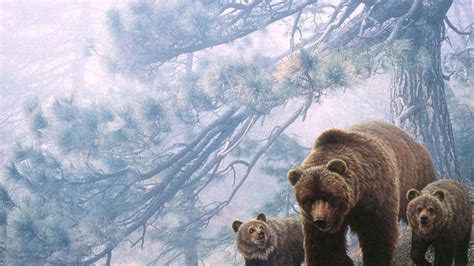 Grizzly Bear Wallpapers - Wallpaper Cave