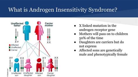 Androgen Insensitivity Ppt