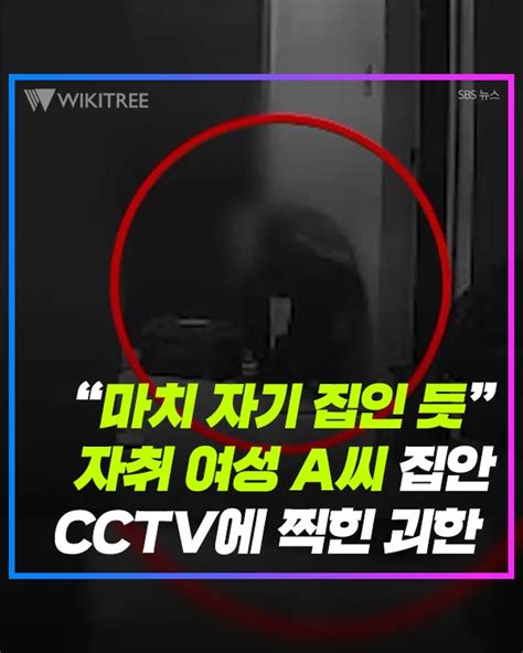 마치 자기 집인 듯 자취 여성 A씨 집안 Cctv에 찍힌 괴한 위키트리