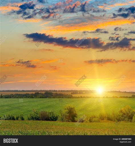 Imagen Y Foto Corn Field Sun Rise Prueba Gratis Bigstock