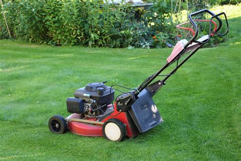 Roter Klee im Rasen wie Sie Rotklee richtig bekämpfen Hausgarten net