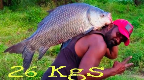 How To Catch Big Size Catla Fish River Fishing Incredible Fishing Singh