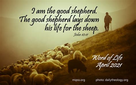 I Am The Good Shepherd The Good Shepherd Lays Down His Life For The