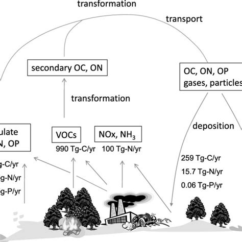 Simplified illustration of the atmospheric cycle of organic matter ...