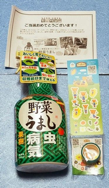 お届け物1つと9月1日までのキャンペーンに当たっちゃった♪ ☆チワウのおもちゃ箱☆