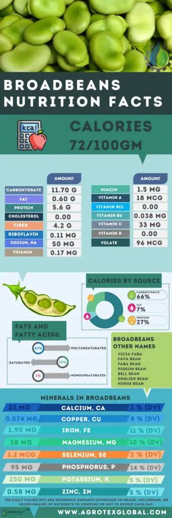 Broadbeans / Fava Beans