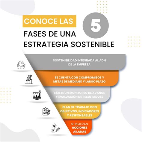 Fases De Una Estrategia Sostenible Calidoscopi Consultoria