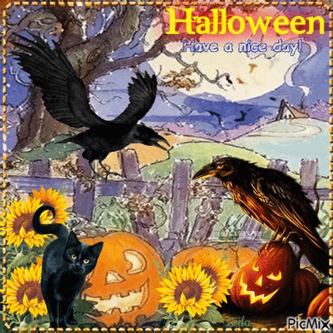 Black Crow & Black Cat - Halloween Gif Pictures, Photos, and Images for ...