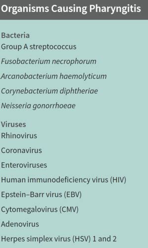 Respiratory Infections Flashcards Quizlet