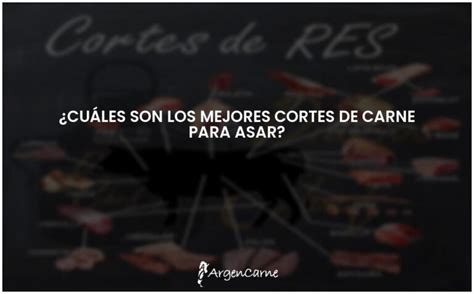 Los mejores cortes de carne para asar una guía definitiva ARGENCARNE