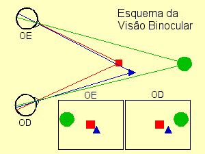 Imagem Análise e Prática Imagem Estéreo 3D