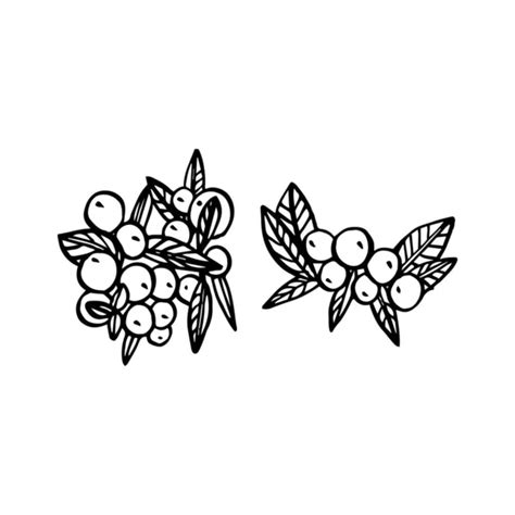 Cranberry Clipart Black And White