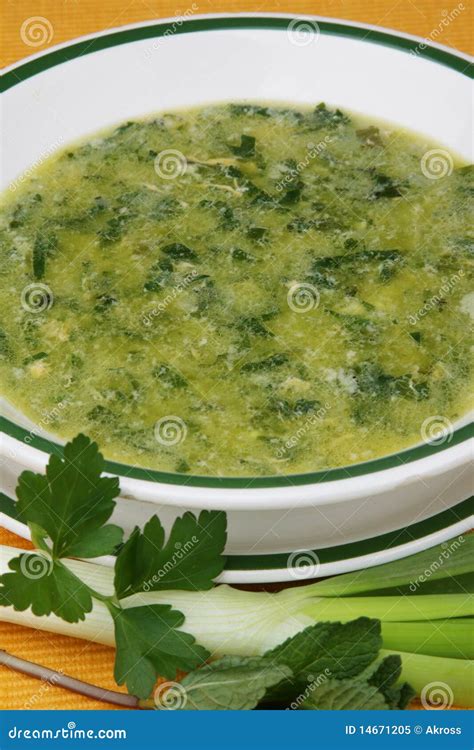 Herb Soup Stock Image Image Of Thyme Health Soup Rosemary 14671205