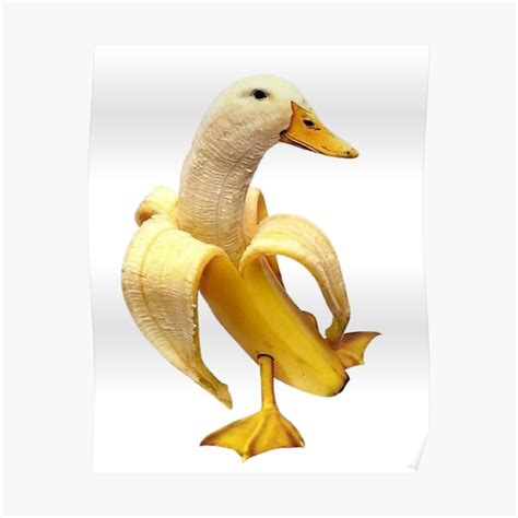 Banana Duck Wallpaper Koleksi Gambar