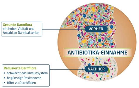 Wirkung Von Antibiotika Was Ist Bei Der Einnahme Zu Beachten