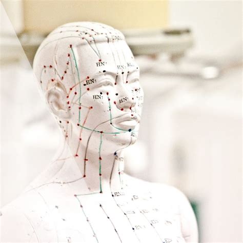 Acupuncture Meridians And Qi Explained Nova Acupuncture Acupuncture