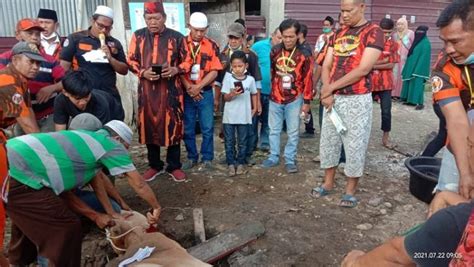 Idul Adha H Pac Pp Medan Area Kurban Ekor Lembu Dan Ekor Kambing