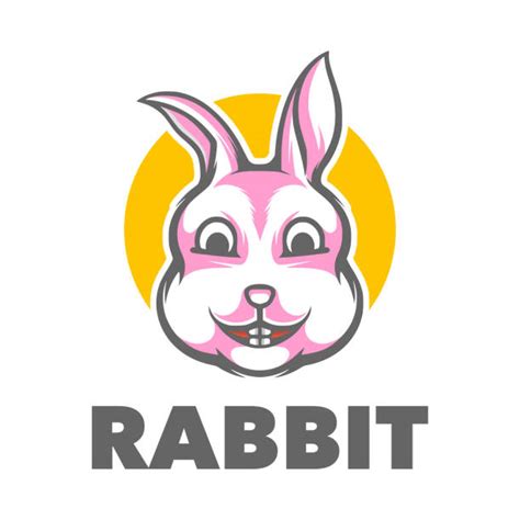 230+ Baby Rabbit Name Illustrations, Royalty-Free Vector Graphics & Clip Art - iStock