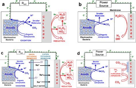 Schematic Of A Microbial Fuel Cell A Microbial Electrolysis Cell Download Scientific Diagram