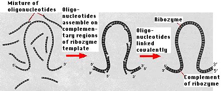 The Origin of Life