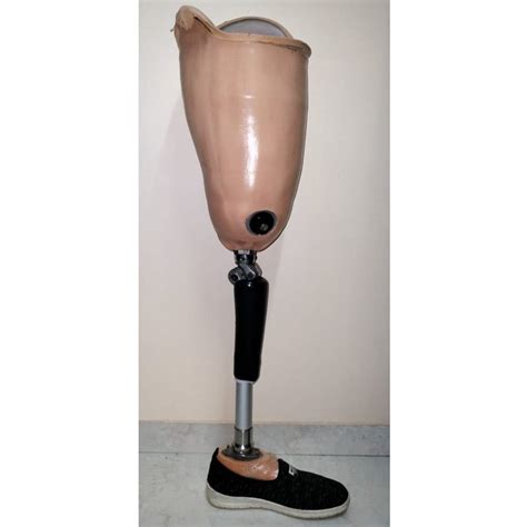 Above Knee Artificial Leg Limb At Rs Piece Artificial Leg Limb