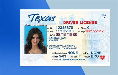 Texas Drivers License PSD Template – Download Photoshop File