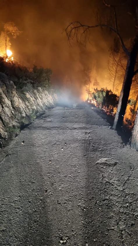 Inferno Di Fuoco Al Belvedere Di Castellammare Del Golfo