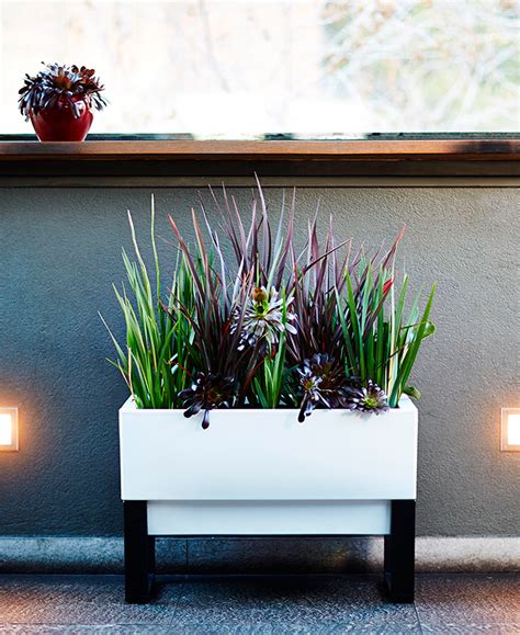 Glowpear Urban Garden Self Watering Planter Temple Webster