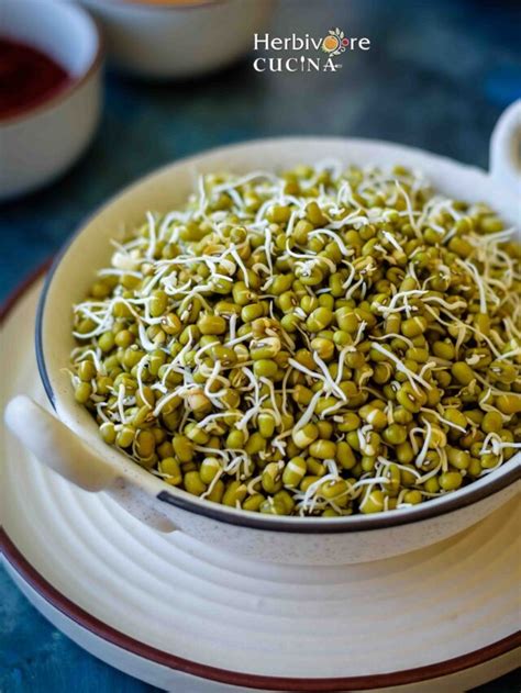 How To Sprout Moong Beans Herbivore Cucina