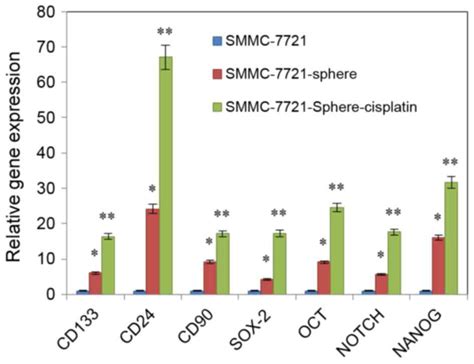 Antitumor Effects Of Matrine On Cancer Stem Like Cells Isolated From