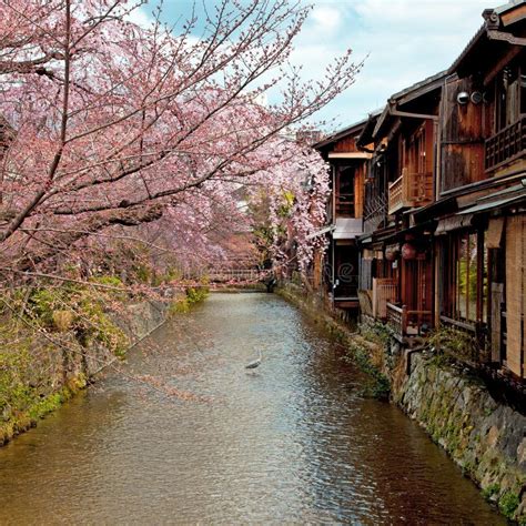 GION in KYOTO, JAPAN stock image. Image of vacation, sakura - 34793511