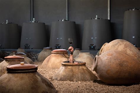 Terracotta Army 15 Amphora Wines To Try LaptrinhX News