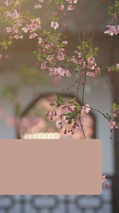 Some Pink Flowers Are Hanging From A Tree