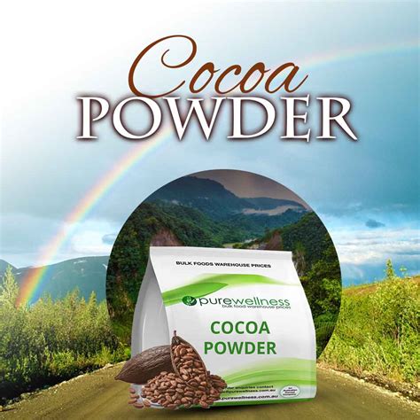 Premium Dutch COCOA POWDER 22-24 — Purewellness