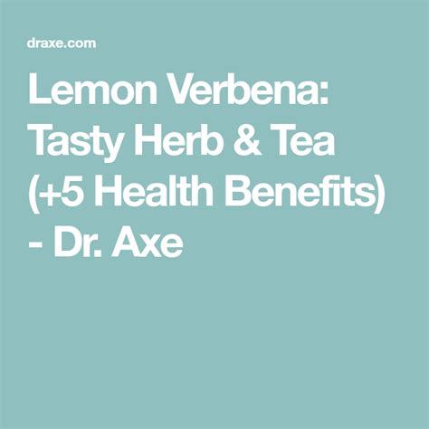 Lemon Verbena Tasty Herb And Tea 5 Health Benefits Dr Axe Lemon