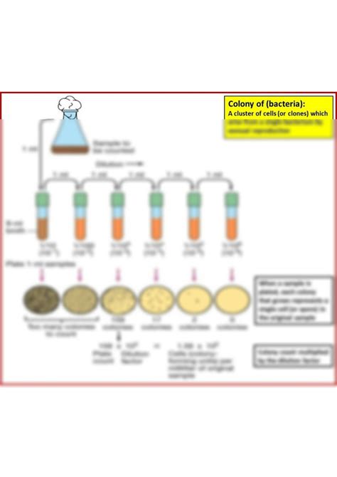 Solution How To Measuring Bacterial Growth Studypool