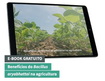 E Book Benef Cios Do Bacillus Aryabhattai Na Agricultura Blog Verde Ag