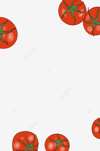 Tomato Persimmon Food, Tomato, Persimmon, Food PNG Transparent Clipart ...