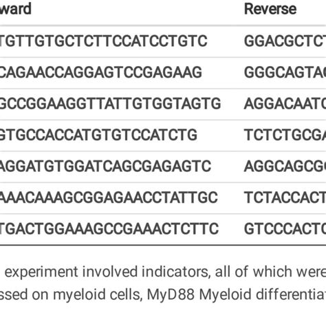 Real Time Pcr Primers Speciesmouse Download Scientific Diagram