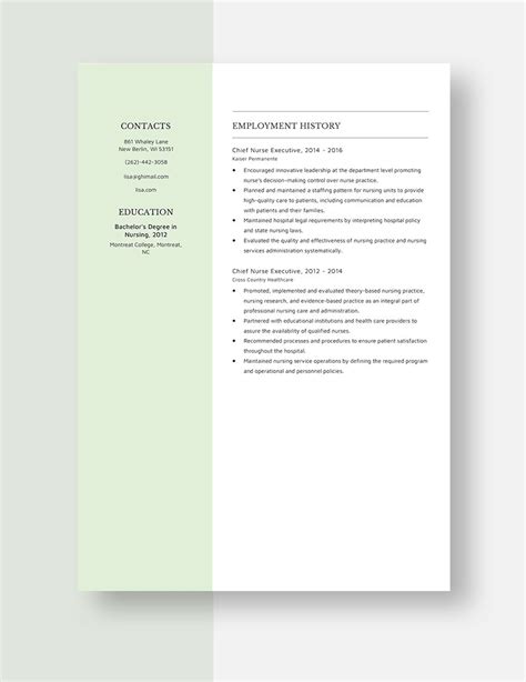 Chief Nurse Executive Resume in Pages, Word - Download | Template.net