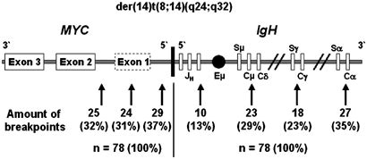 Distribution Of The Genomic Myc Igh Breakpoints The Locations Of