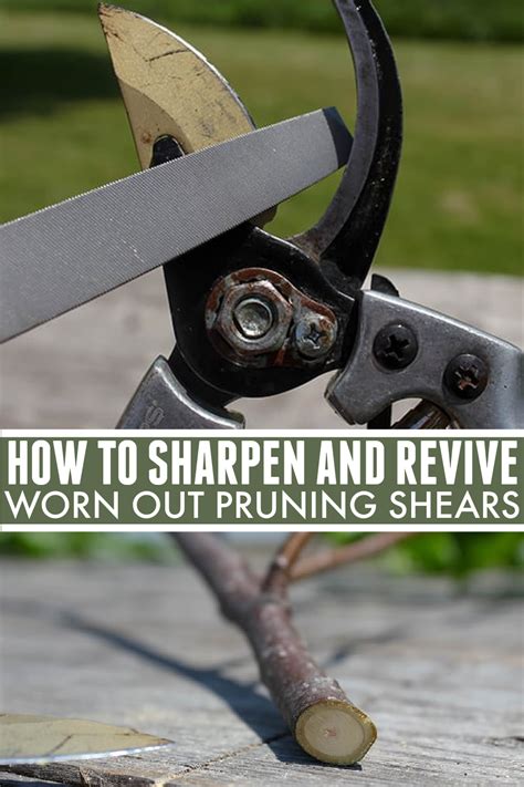 How To Sharpen Hedge Clippers And Pruning Shears The Creek Line House