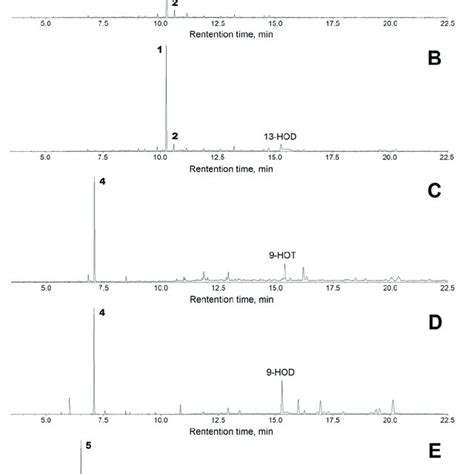 The Total Ion Current GC MS Chromatograms Of The Products Me TMS Of