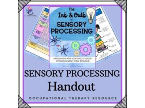 The In S And Out S Of Sensory Processing Occupational Therapy Handout Sped Teaching Resources