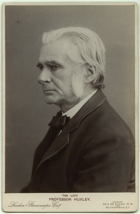 Npg X46493 Thomas Henry Huxley Portrait National Portrait Gallery